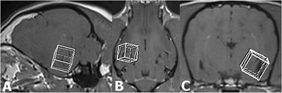 Interictal Single-Voxel Proton Magnetic Resonance Spectroscopy of the Temporal Lobe in Dogs With Idiopathic Epilepsy